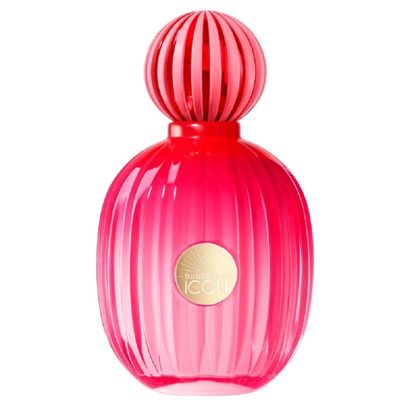 The Icon Woman Antonio Banderas EDP 100ml – Perfume Feminino