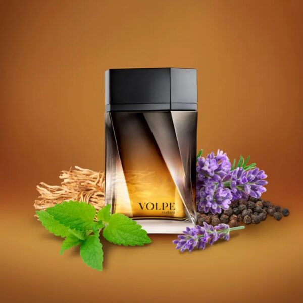 Eudora Volpe Colônia Desodorante 100ml - Perfume Masculino - Imagem 7