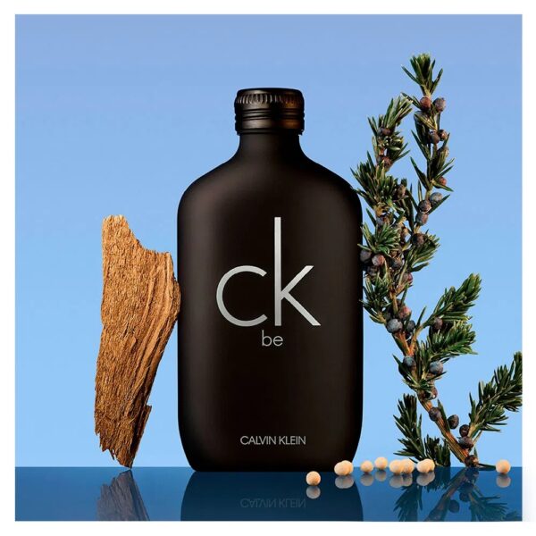 Calvin Klein CK Be Eau de Toilette 200ml - Perfume Unissex - Imagem 3